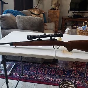 Ruger M77 CRF Featherweight in 250 Savage Rifle