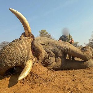 Hunt Elephant in South Africa
