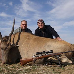 South Africa Hunting Eland