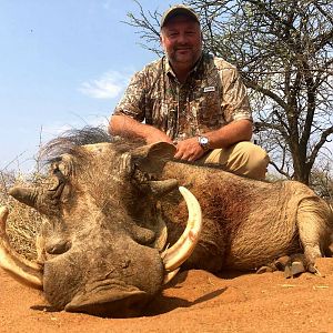 South Africa Hunt Warthog