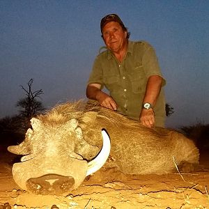 Hunting Warthog in South Africa