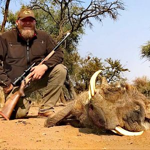 Warthog Hunting South Africa