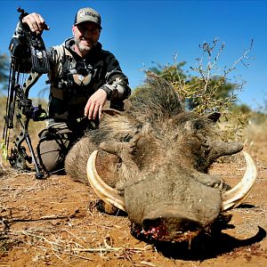 South Africa Bow Hunting Warthog