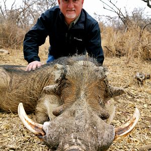Warthog Hunt South Africa