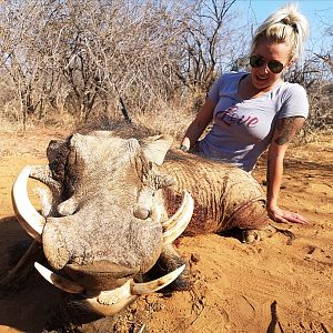 Hunting Warthog in South Africa
