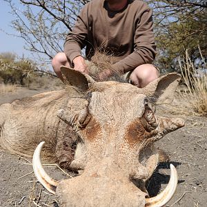 Hunt Warthog in South Africa