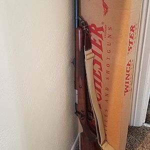 mModel 70 Safari Express 375 H&H Rifle