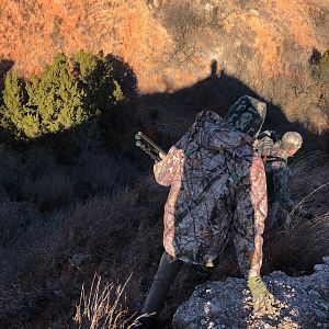 Hunting Aoudad in Texas USA