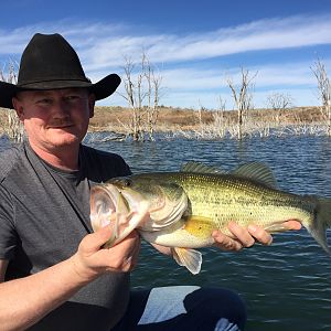 Fishing Bass in Texas USA