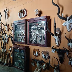 Kings Taxidermy Visit