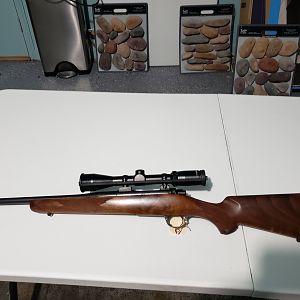 Kimber Classic 84M 308 Win with Burris Fullfield II 3X9 Scope