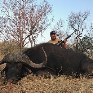 Buffalo Hunt South Africa