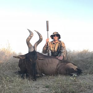 Red Hartebeest Hunt Namibia