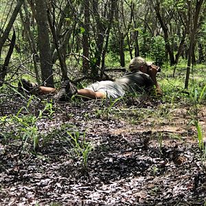 Zimbabwe Hunting Buffalo