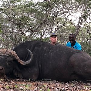 Hunt Cape Buffalo in Zimbabwe