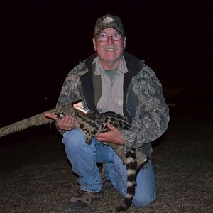 Hunting Genet Cat in South Africa