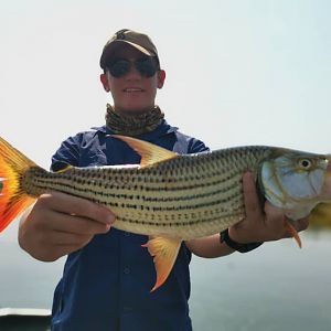 Fishing Tigerfish in Botswana