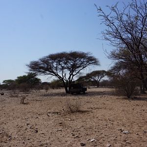 Hunting Area Botswana