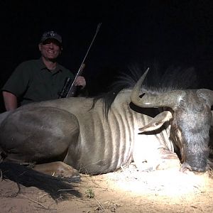 Botswana Hunt Blue Wildebeest