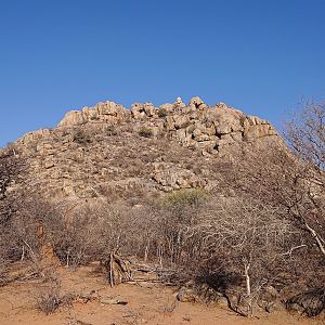Baboon Hunt Namibia