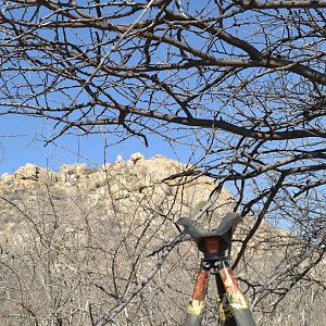 Hunting Baboon in Namibia