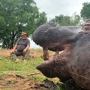 South Africa Hunting Hippo