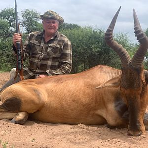 Re Hartebeest Hunt South Africa