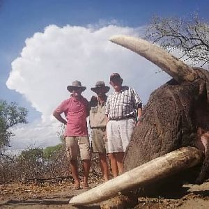 Hunting Elephant in Botswana