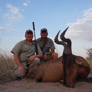 Hunt Red Hartebeest in Botswana