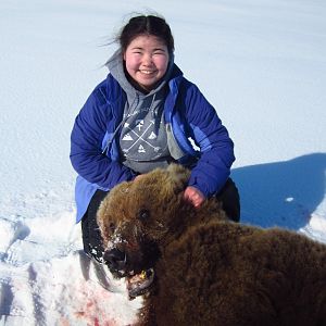 Brown Bear Hunting Alaska USA