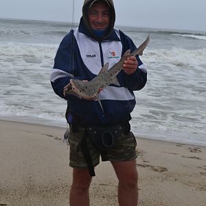 Fishing Spotted Gully Shark in Namibia