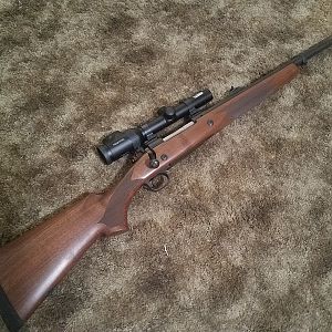 375 Rifle