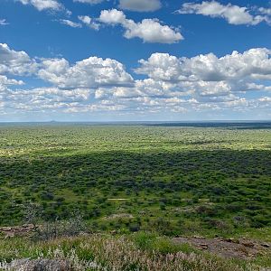 Hunting Area Namibia