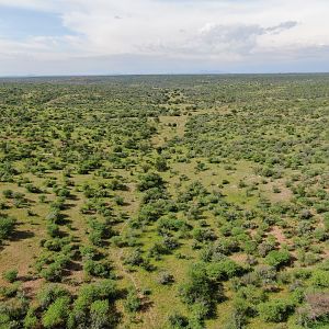 Hunting Area Namibia