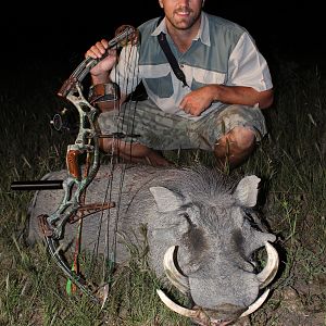 Namibia Bow Hunting Warthog