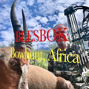 Blesbok Bow Hunt Africa