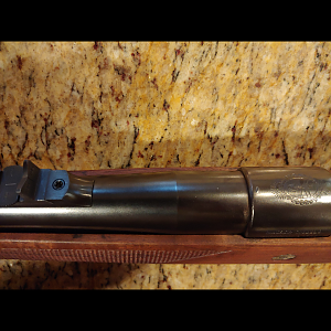 425 Westley Richards Rifle