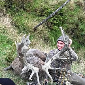 Bow Hunting Red Stag in New Zealand