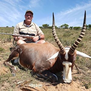 South Africa Hunting Blesbok