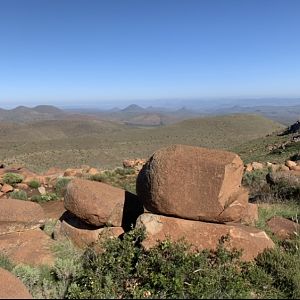 Karoo Hunting Area South Africa