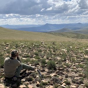 Glassing Free Range Eland in Karoo South Africa