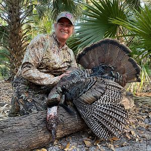 Osceola Turkey Hunt Florida USA
