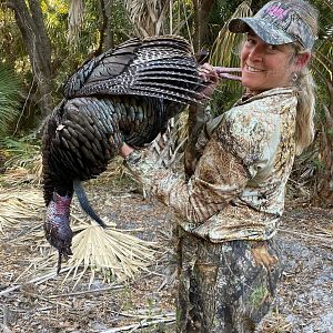 Hunting Osceola Turkey in Florida USA