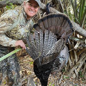 Florida USA Hunt Osceola Turkey