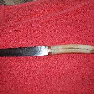 Knife with Hippo tooth as a handle