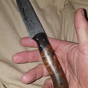 Swamp Kauri Knife