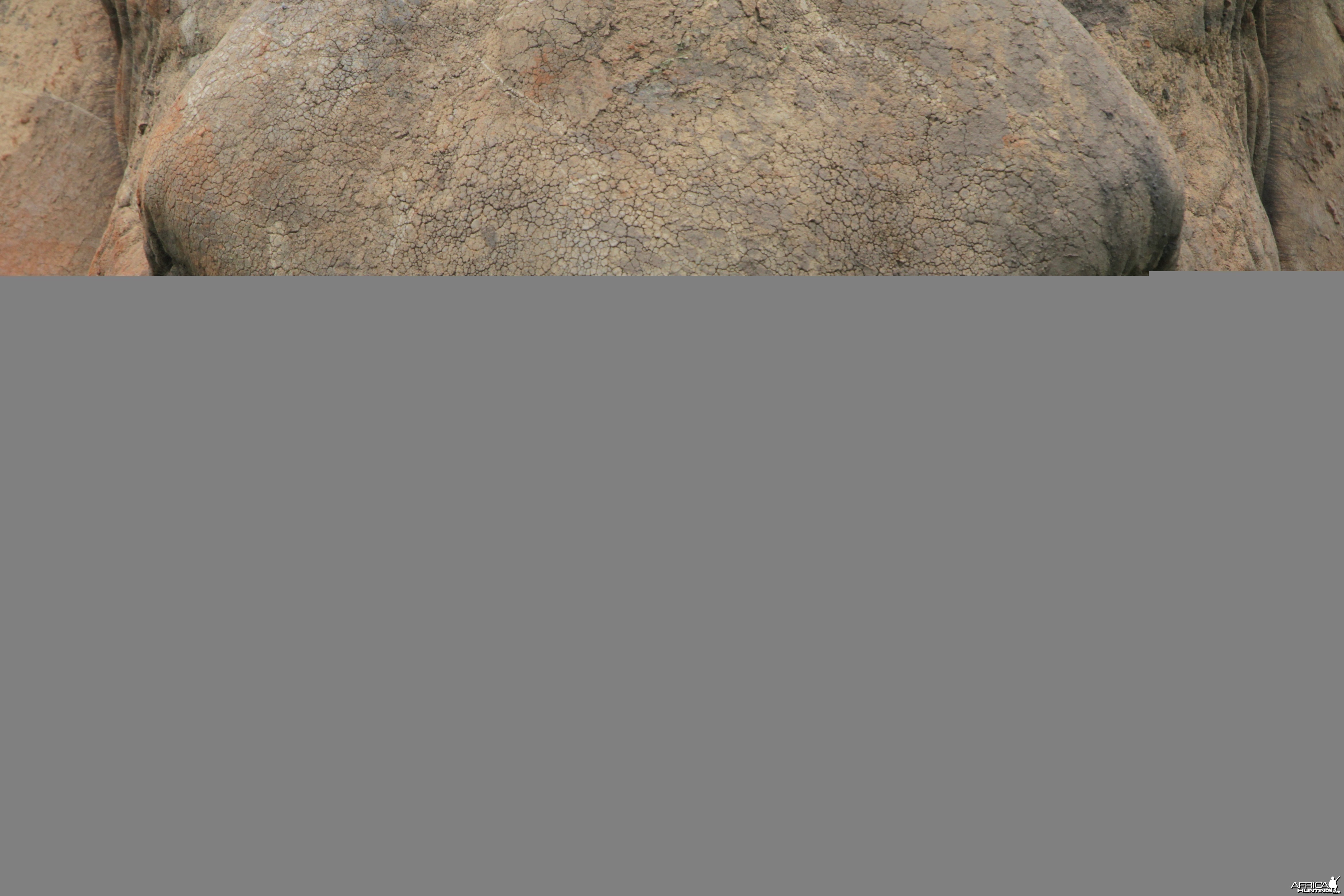 watermark.php