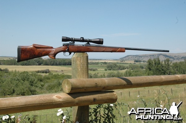 Your Custom Rifle | AfricaHunting.com