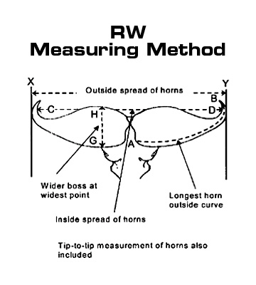 rw-measuring-method.jpg