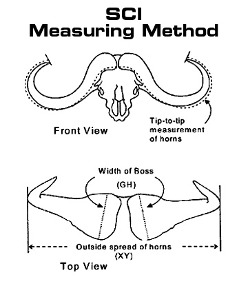 sci-measuring-method.jpg